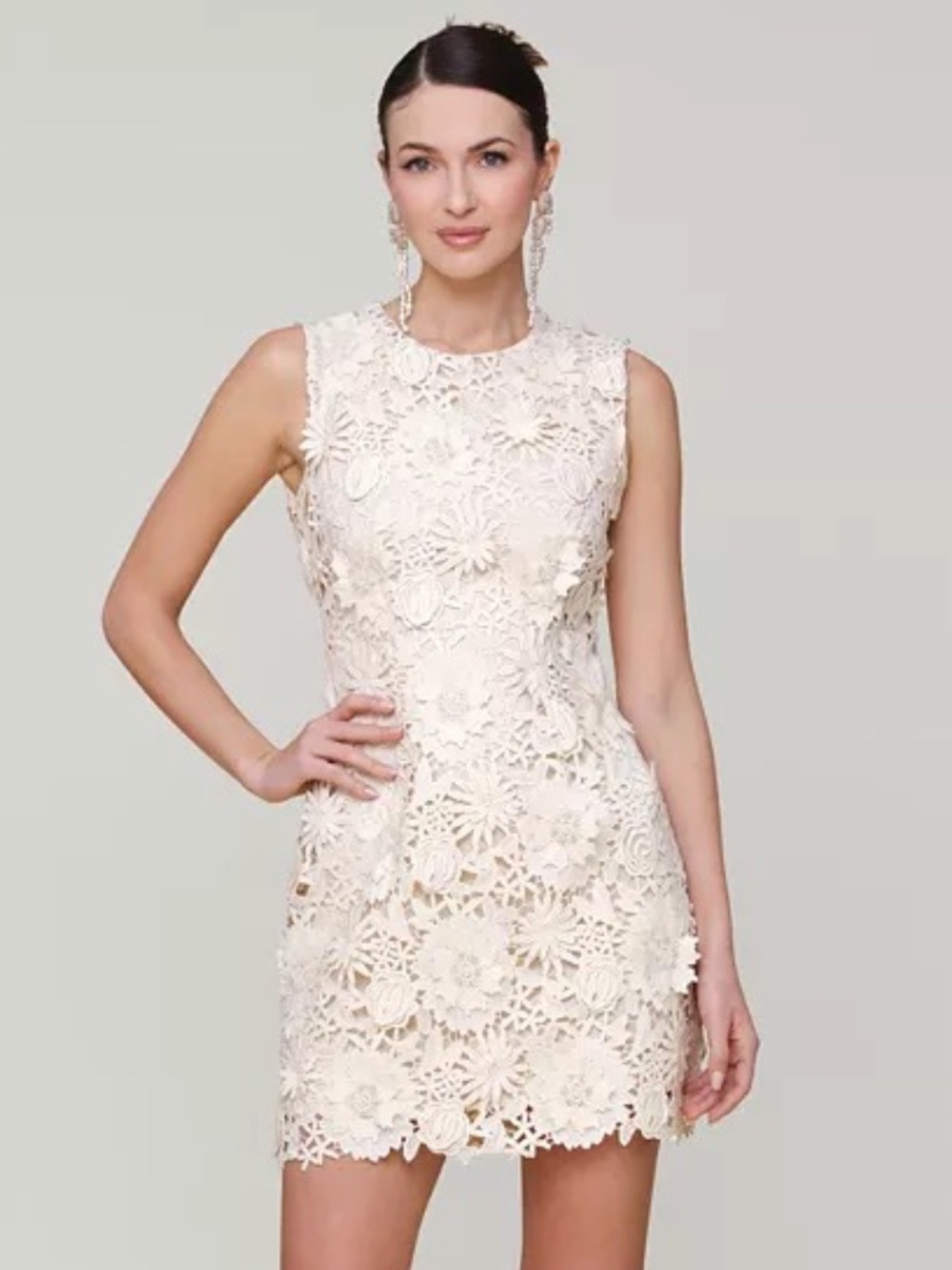 Avec Les Filles Women's Sleeveless 3D Floral Embroidery Mini Dress